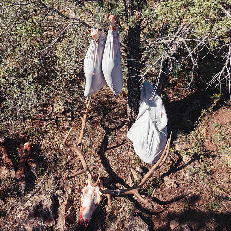 SG Game Bag Kit - Image 16